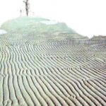 হিমু – হুমায়ুন আহমেদ (Himu by Humayun Ahmed)